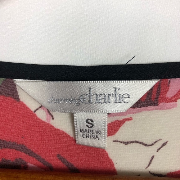 CHARMING CHARLIE sheer blouse. Size S - Picture 3 of 5